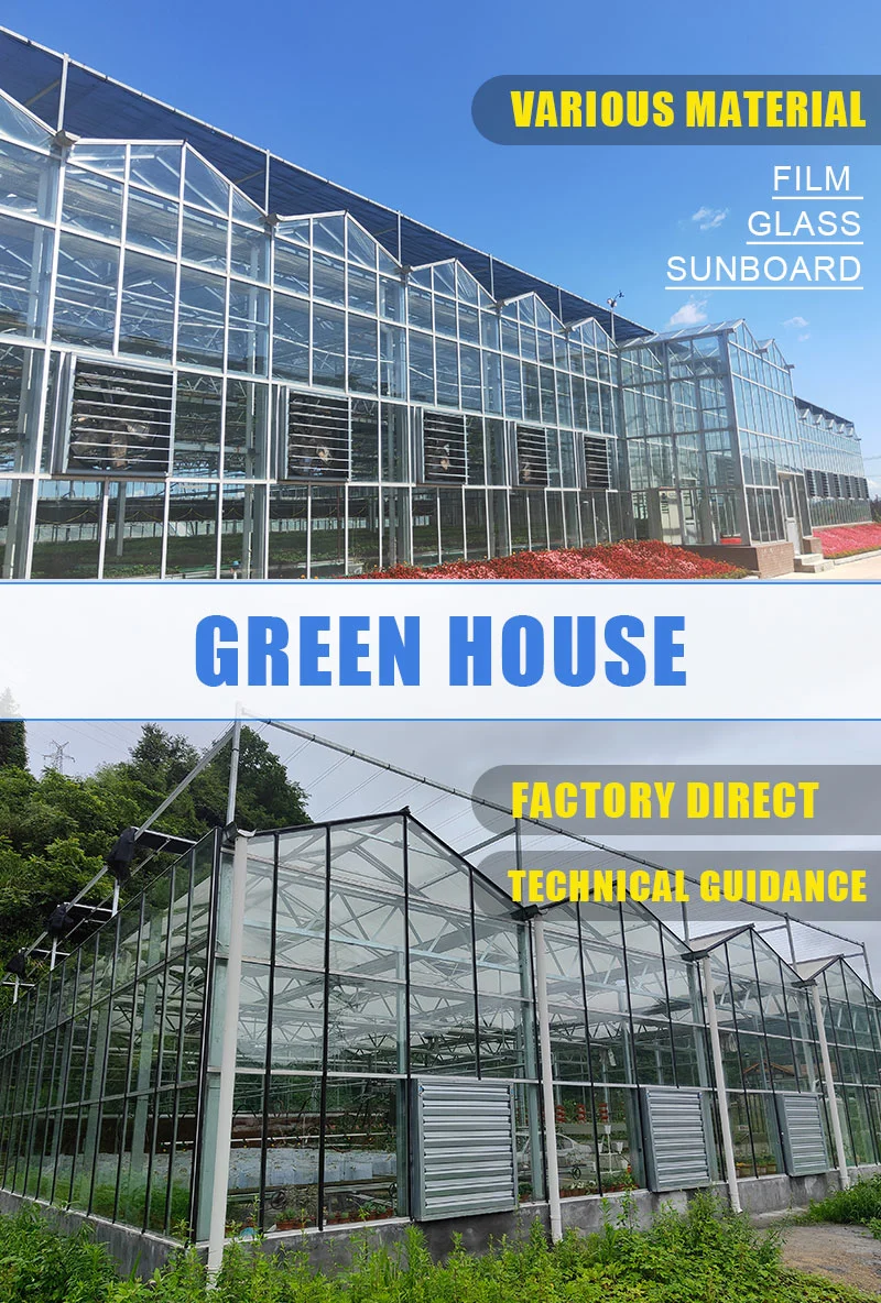 Garden Greenhouse Walk-in Plant Potted Sunroom Waterproof Keep Warm Flower Glass Greenhouse Seedling Shed