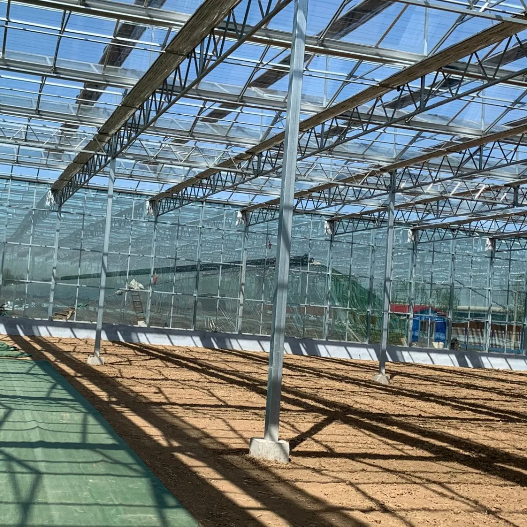 Xinhe Heating Solar Systems Used for Multi-Span Glass Greenhouse