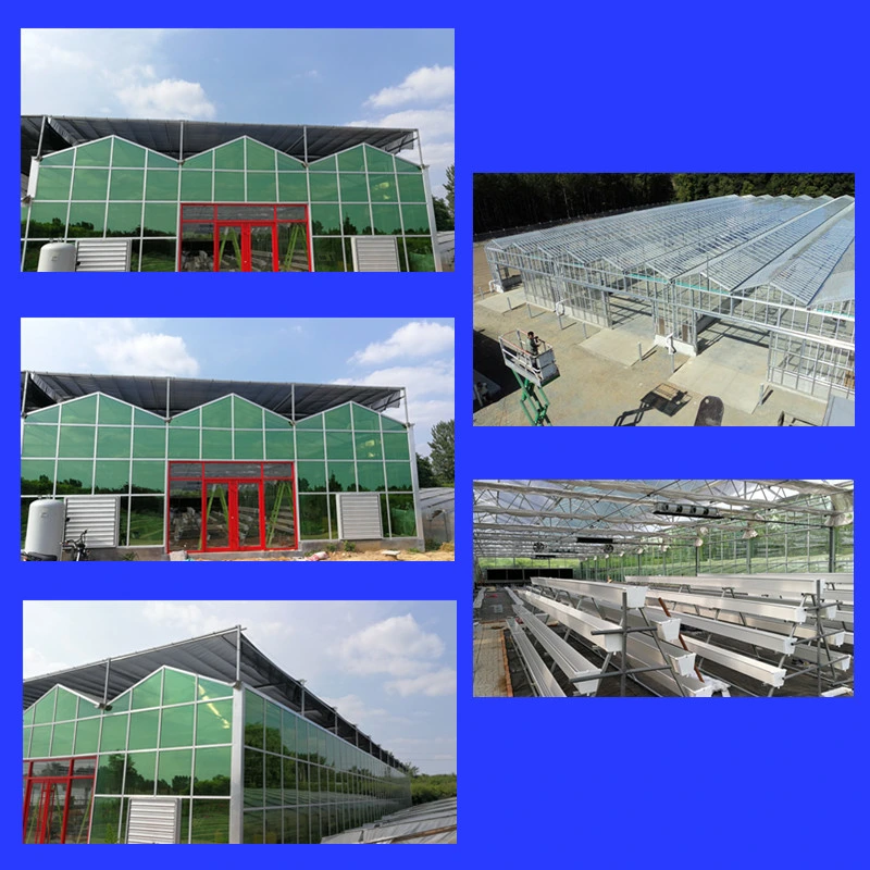 High Quality Steel Pipe Agricultural Green House Steel Structure with Glass Covering