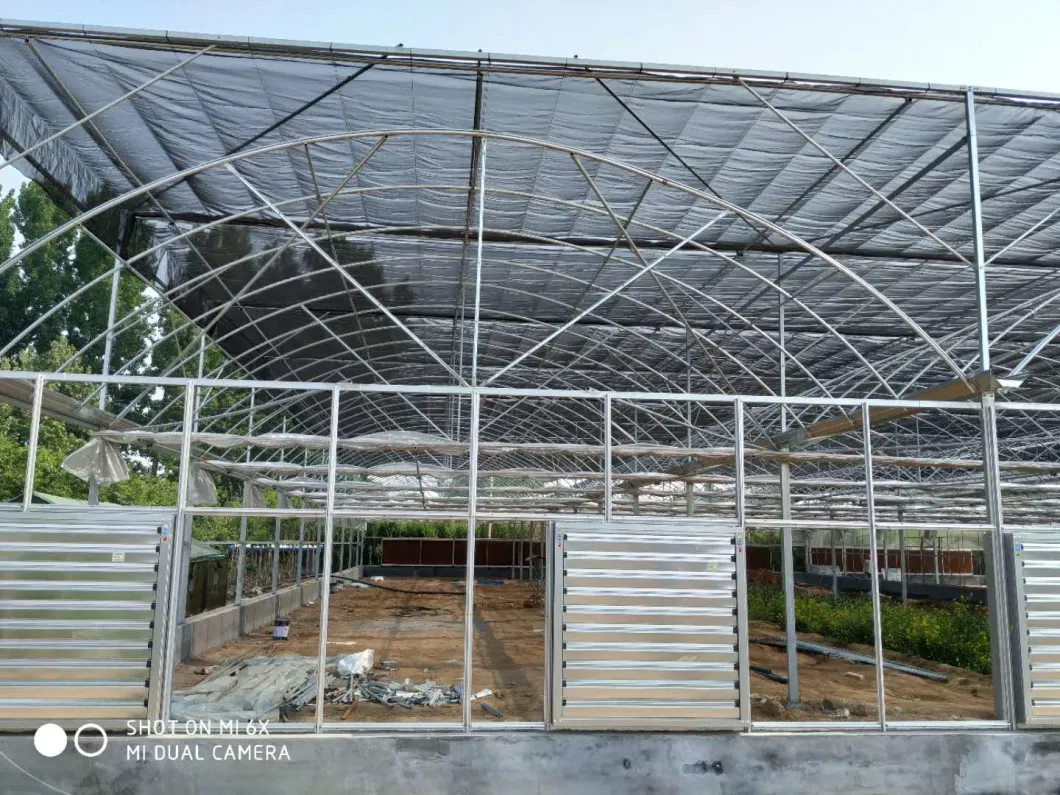 Film Tunnel Greenhouse Structure