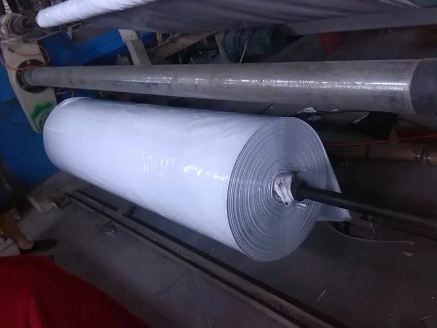 High Quality Black Mulch Film Stretch Film PE Film 180micron 190micron Black White Plastic Film Panda Film Black White Film Greenhouse Cover Greenhouse Film