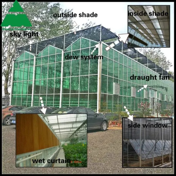 PC Sheet Agriculture Greenhouse Equipped with Misting System