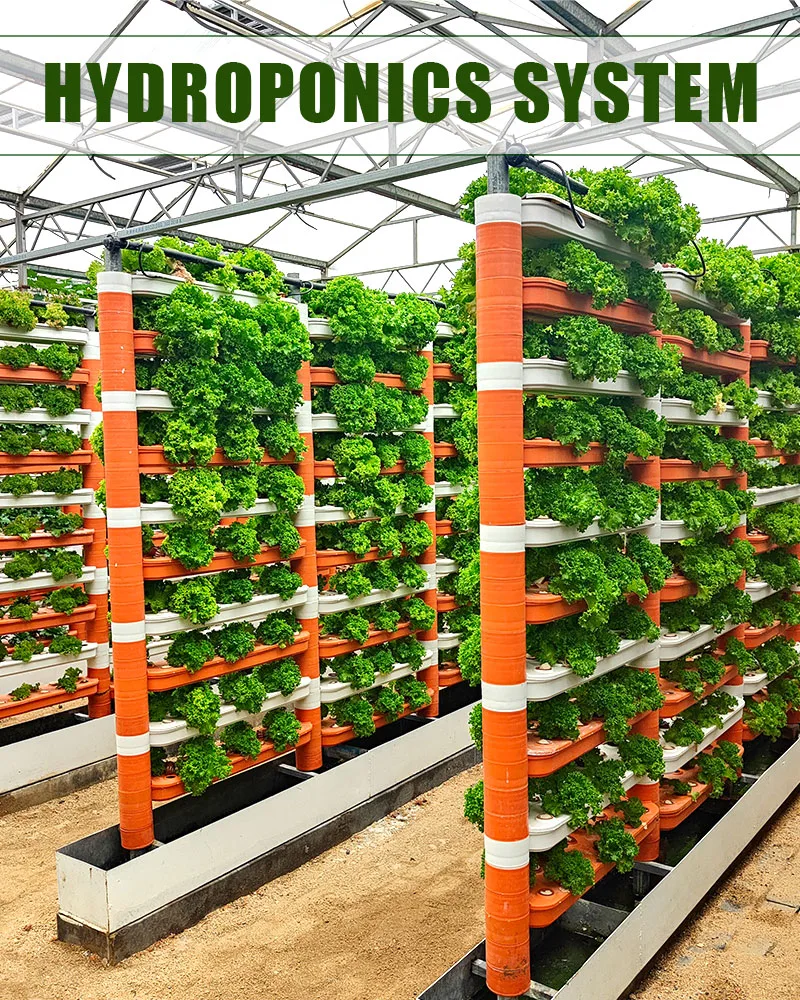 Vertical Nft Channels System Farm Garden Hydroponics System for Greenhouse with Fish Vegetable Symbiosis Cooling/Heating System