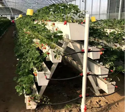 Sistema di coltivazione idroponica verticale in PVC Nft per serra di verdure