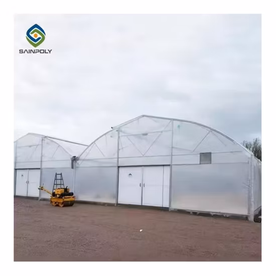 Trinog China ha realizzato una serra agricola con film plastico idroponico multispan per aziende agricole commerciali