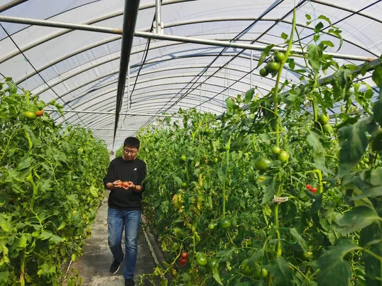 10000m2 Agricolo/Commerciale/Multi